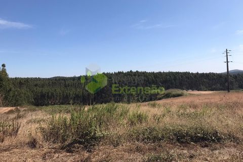 Helårsgrund i Cadaval, Lisbon, Cadaval - € 10.000 | Ref: 1367 - foto 5