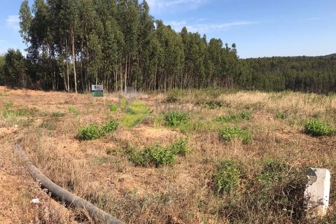 Helårsgrund i Cadaval, Lisbon, Cadaval - € 10.000 | Ref: 1367 - foto 6