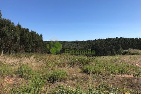 Helårsgrund i Cadaval, Lisbon, Cadaval - € 10.000 | Ref: 1367 - foto 7