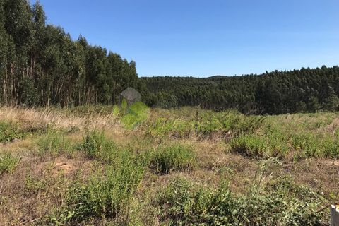 Helårsgrund i Cadaval, Lisbon, Cadaval - € 10.000 | Ref: 1367 - foto 8