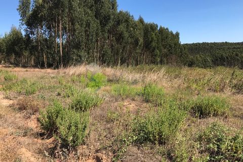 Helårsgrund i Cadaval, Lisbon, Cadaval - € 10.000 | Ref: 1367 - foto 9