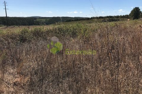 Helårsgrund i Cadaval, Lisbon, Cadaval - € 10.000 | Ref: 1367 - foto 10