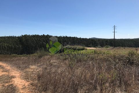Helårsgrund i Cadaval, Lisbon, Cadaval - € 10.000 | Ref: 1367 - foto 12