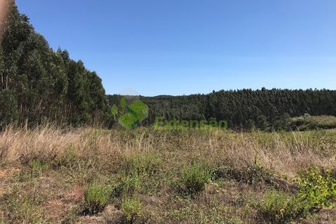 Helårsgrund i Cadaval, Lisbon, Cadaval - € 10.000 | Ref: 1367 - foto 13