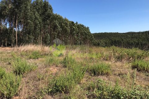 Helårsgrund i Cadaval, Lisbon, Cadaval - € 10.000 | Ref: 1367 - foto 14