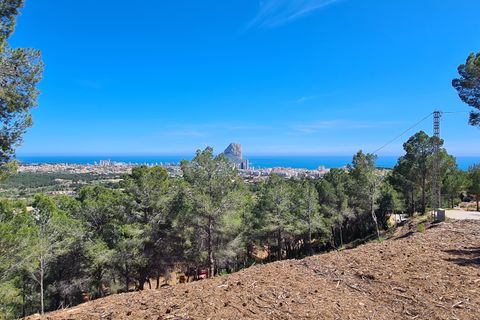 Helårsgrund i Calpe, Alicante, Calpe - € 595.000 | Ref: PV11655 - foto 6