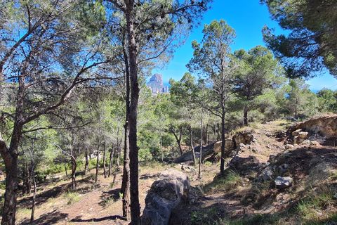 Helårsgrund i Calpe, Alicante, Calpe - € 595.000 | Ref: PV11655 - foto 8