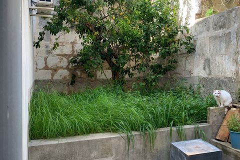 Villa i Pollenca, Mallorca, Pollenca - € 1 365 000 | Ref: 74383 - foto 24