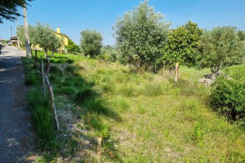 Helårsgrund i Tomar, Santarem, Tomar - € 75.000 | Ref: 22232-MB - foto 2