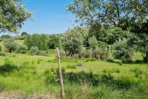 Helårsgrund i Tomar, Santarem, Tomar - € 75.000 | Ref: 22232-MB - foto 3
