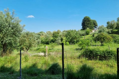 Helårsgrund i Tomar, Santarem, Tomar - € 75.000 | Ref: 22232-MB - foto 4