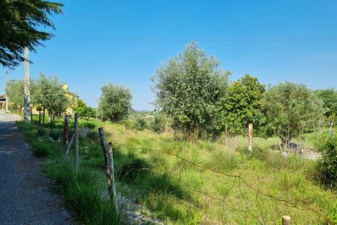 Helårsgrund i Tomar, Santarem, Tomar - € 75.000 | Ref: 22232-MB - foto 5