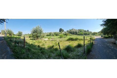 Helårsgrund i Tomar, Santarem, Tomar - € 75.000 | Ref: 22232-MB - foto 6