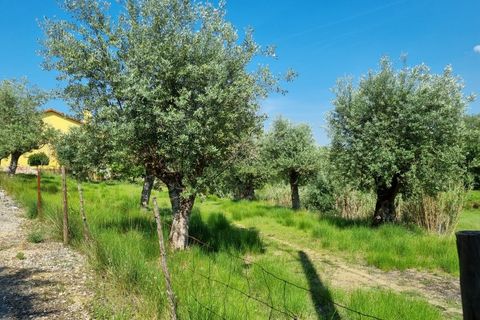 Helårsgrund i Tomar, Santarem, Tomar - € 75.000 | Ref: 22232-MB - foto 7