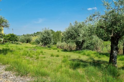 Helårsgrund i Tomar, Santarem, Tomar - € 75.000 | Ref: 22232-MB - foto 8