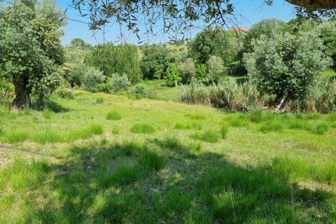 Helårsgrund i Tomar, Santarem, Tomar - € 75.000 | Ref: 22232-MB - foto 10