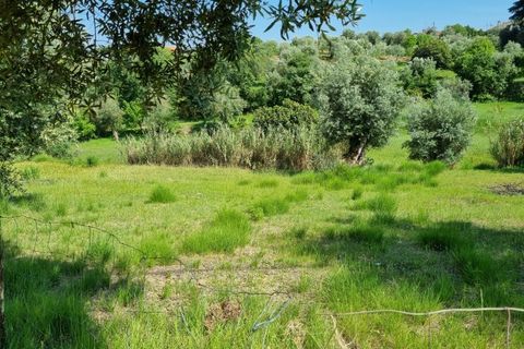 Helårsgrund i Tomar, Santarem, Tomar - € 75.000 | Ref: 22232-MB - foto 11