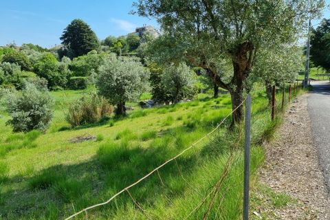 Helårsgrund i Tomar, Santarem, Tomar - € 75.000 | Ref: 22232-MB - foto 12