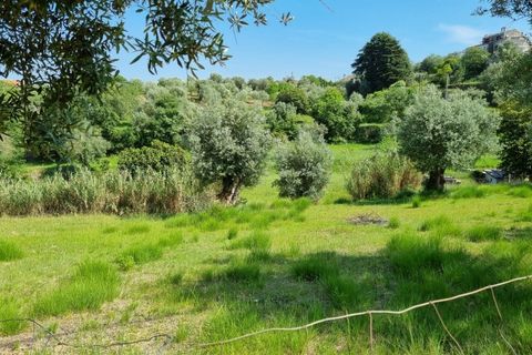 Helårsgrund i Tomar, Santarem, Tomar - € 75.000 | Ref: 22232-MB - foto 13