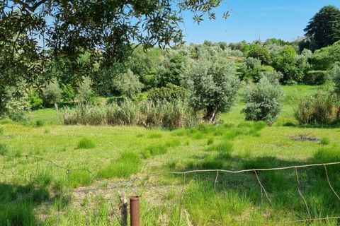 Helårsgrund i Tomar, Santarem, Tomar - € 75.000 | Ref: 22232-MB - foto 14