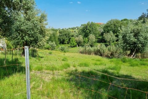 Helårsgrund i Tomar, Santarem, Tomar - € 75.000 | Ref: 22232-MB - foto 15