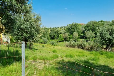 Helårsgrund i Tomar, Santarem, Tomar - € 75.000 | Ref: 22232-MB - foto 16