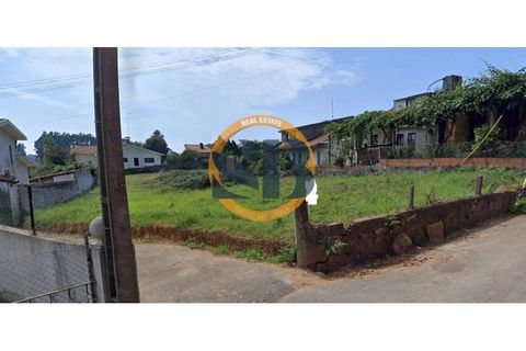 Terra a Cortegaca, Aveiro, Cortegaca - € 97.500 | Ref: T/0329 - foto 3
