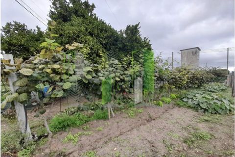 Helårsgrund i Cantanhede, Coimbra, Cantanhede - € 50.000 | Ref: CNTVS 3773 - foto 2