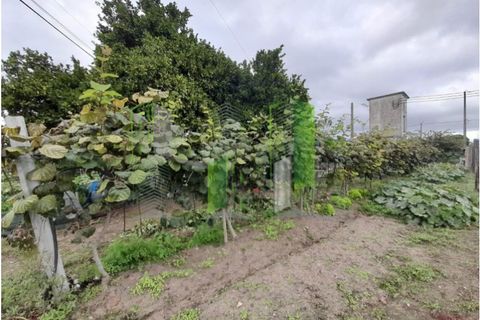 Helårsgrund i Cantanhede, Coimbra, Cantanhede - € 50.000 | Ref: CNTVS 3773 - foto 9