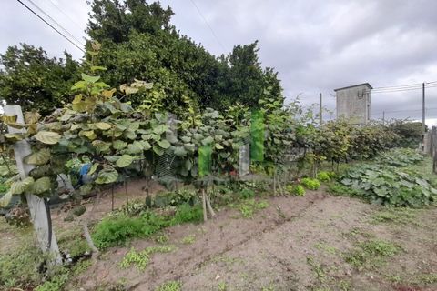 Helårsgrund i Cantanhede, Coimbra, Cantanhede - € 50.000 | Ref: CNTVS 3773 - foto 12