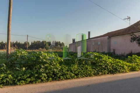 Tomt i Cantanhede, Coimbra, Cantanhede - € 30 000 | Ref: CNTCM 3772 - foto 3