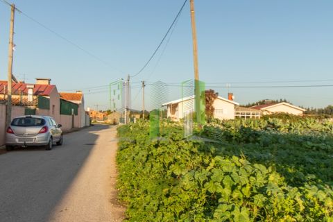 Tomt i Cantanhede, Coimbra, Cantanhede - € 30 000 | Ref: CNTCM 3772 - foto 6