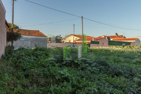 Tomt i Cantanhede, Coimbra, Cantanhede - € 30 000 | Ref: CNTCM 3772 - foto 8