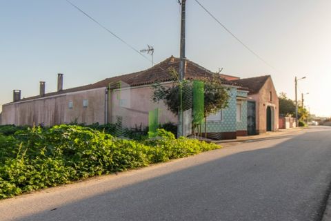 Tomt i Cantanhede, Coimbra, Cantanhede - € 30 000 | Ref: CNTCM 3772 - foto 9