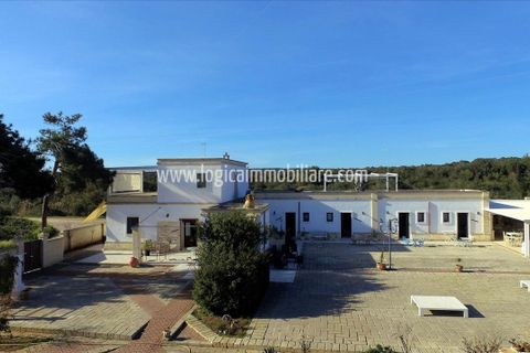 Farm hus i Manduria, Taranto, Manduria - € 1.550.000 | Ref: CA544 - foto 3