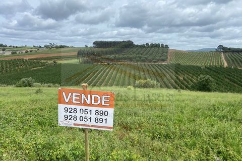 Helårsgrund i Cadaval, Lisbon, Cadaval - € 20.000 | Ref: CL22047 - foto 1