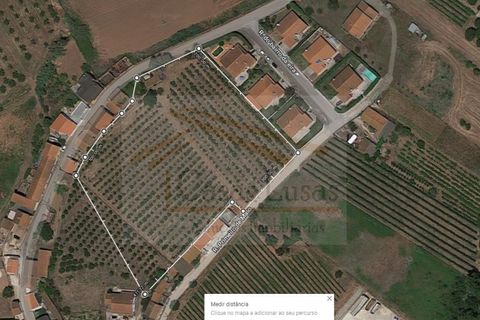 Helårsgrund i Cadaval, Lisbon, Cadaval - € 300.000 | Ref: CL22046 - foto 3