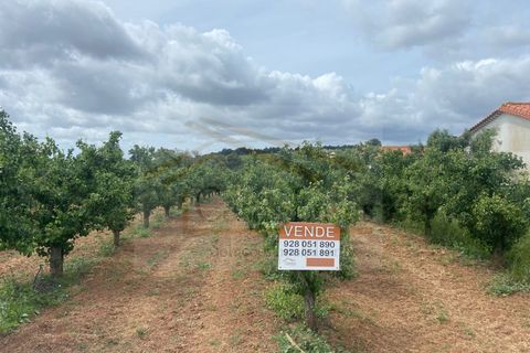 Helårsgrund i Cadaval, Lisbon, Cadaval - € 300.000 | Ref: CL22046 - foto 19