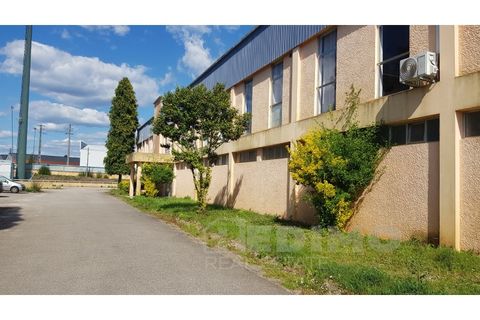 Erhvervsejendom i Agueda, Aveiro, Agueda - € 2.800.000 | Ref: 1292-PAV - foto 2