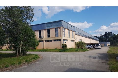 Erhvervsejendom i Agueda, Aveiro, Agueda - € 2.800.000 | Ref: 1292-PAV - foto 4