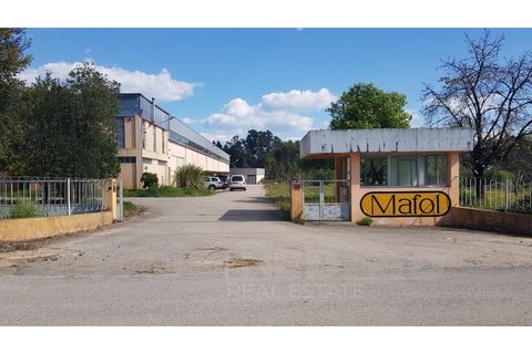 Erhvervsejendom i Agueda, Aveiro, Agueda - € 2.800.000 | Ref: 1292-PAV - foto 5