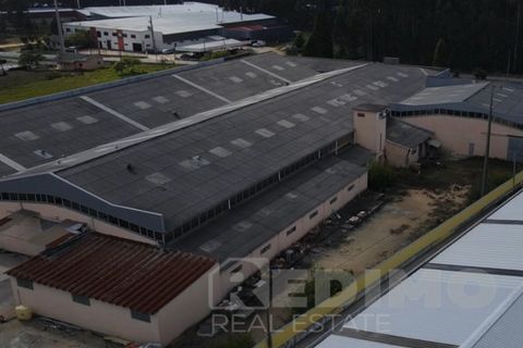 Erhvervsejendom i Agueda, Aveiro, Agueda - € 2.800.000 | Ref: 1292-PAV - foto 6