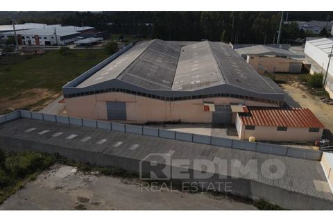 Erhvervsejendom i Agueda, Aveiro, Agueda - € 2.800.000 | Ref: 1292-PAV - foto 7