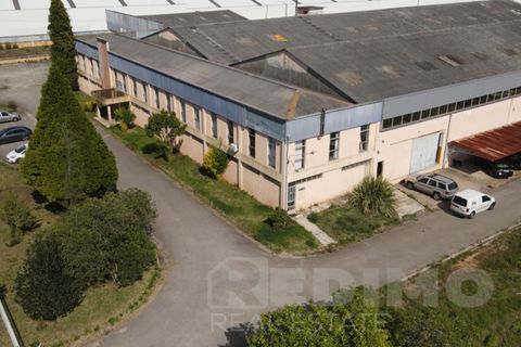 Erhvervsejendom i Agueda, Aveiro, Agueda - € 2.800.000 | Ref: 1292-PAV - foto 8