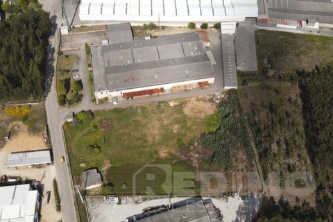 Erhvervsejendom i Agueda, Aveiro, Agueda - € 2.800.000 | Ref: 1292-PAV - foto 10
