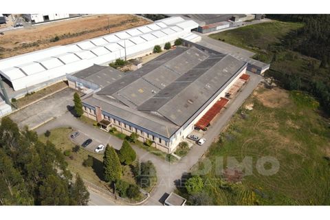 Erhvervsejendom i Agueda, Aveiro, Agueda - € 2.800.000 | Ref: 1292-PAV - foto 11