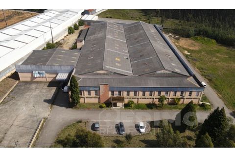 Erhvervsejendom i Agueda, Aveiro, Agueda - € 2.800.000 | Ref: 1292-PAV - foto 12