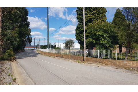 Erhvervsejendom i Agueda, Aveiro, Agueda - € 2.800.000 | Ref: 1292-PAV - foto 13