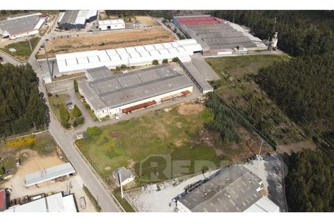 Erhvervsejendom i Agueda, Aveiro, Agueda - € 2.800.000 | Ref: 1292-PAV - foto 16