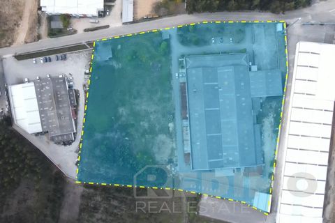 Erhvervsejendom i Agueda, Aveiro, Agueda - € 2.800.000 | Ref: 1292-PAV - foto 17
